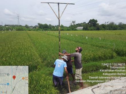 Petani Tirtonirmolo Gelar “Angkat Walet” untuk Kendalikan Hama Tikus di Bulak Glondong